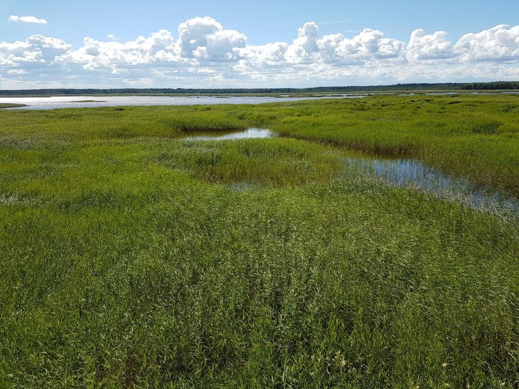 Апартаменты Enjoy Jurmala Юрмала